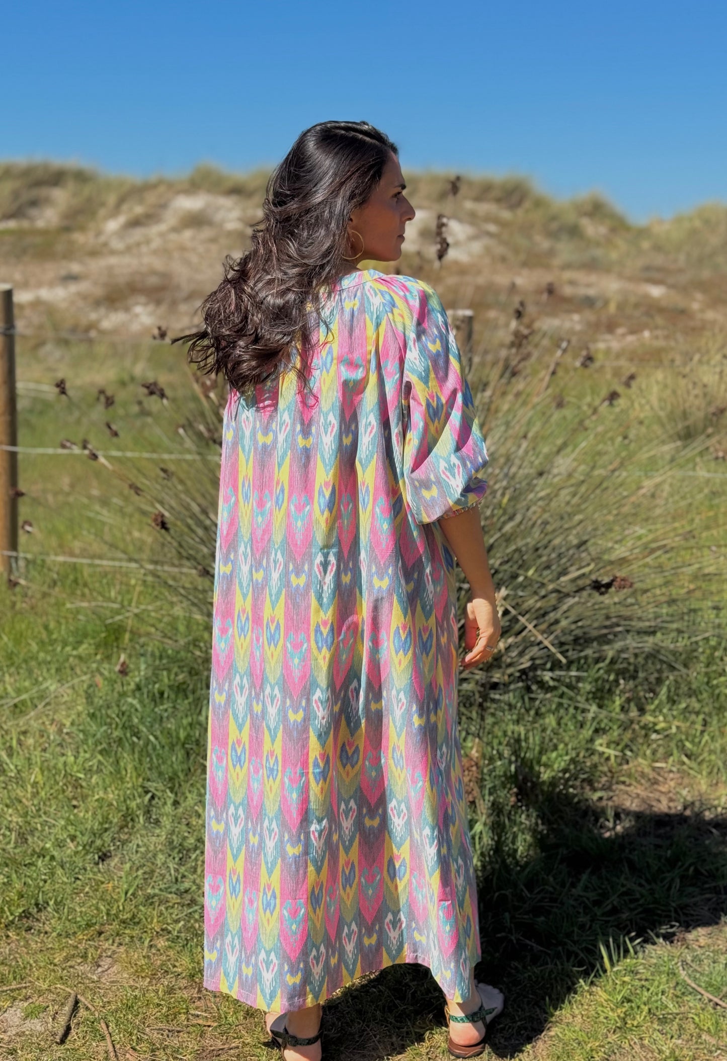 Alice Embroidered Dress